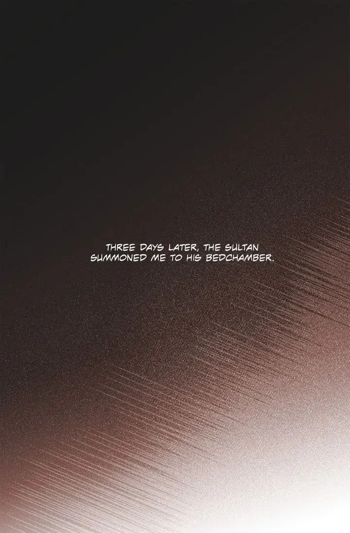 Read The Sultan