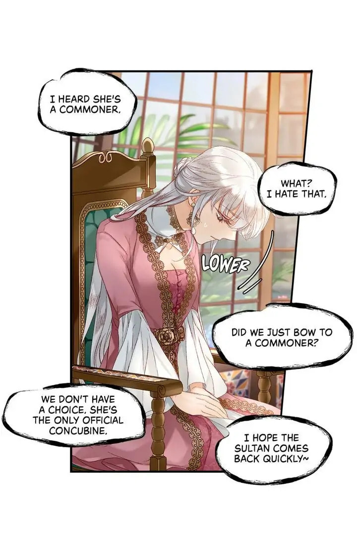 Read The Sultan