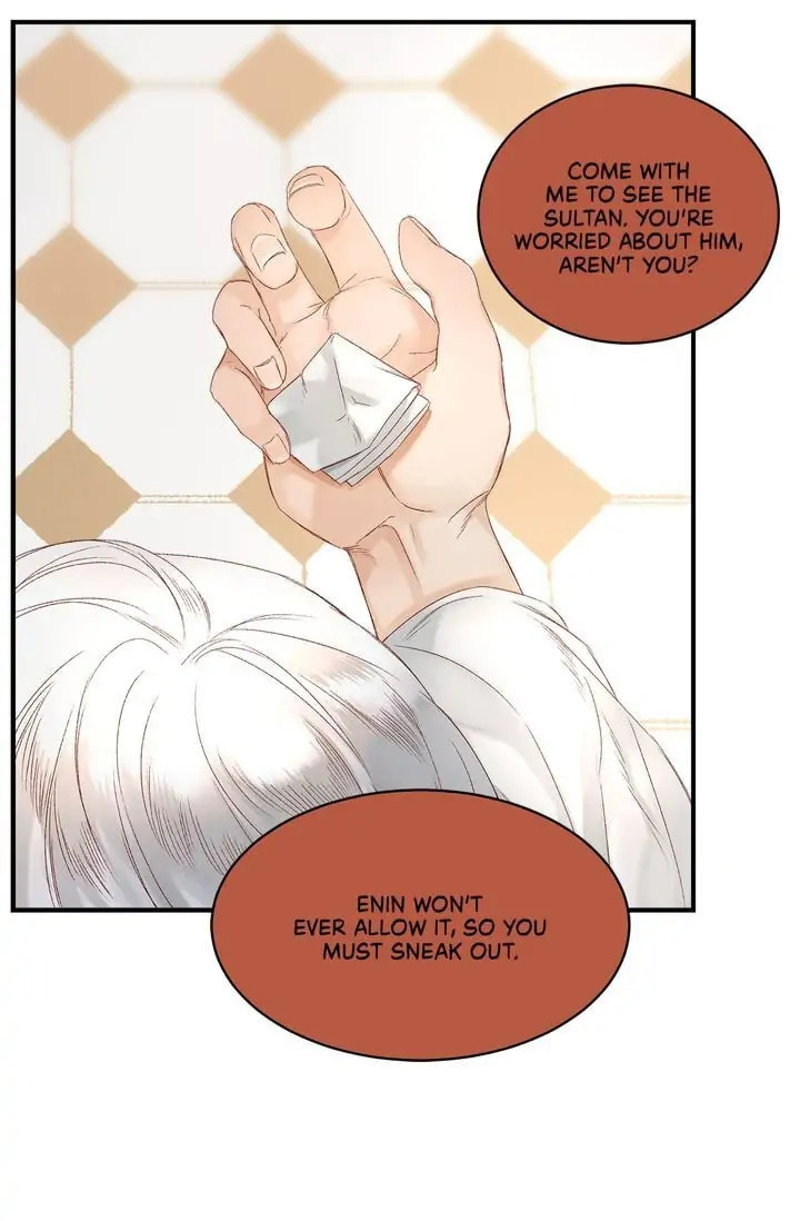Read The Sultan