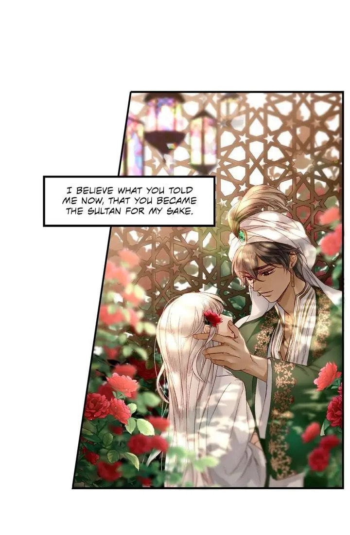 Read The Sultan