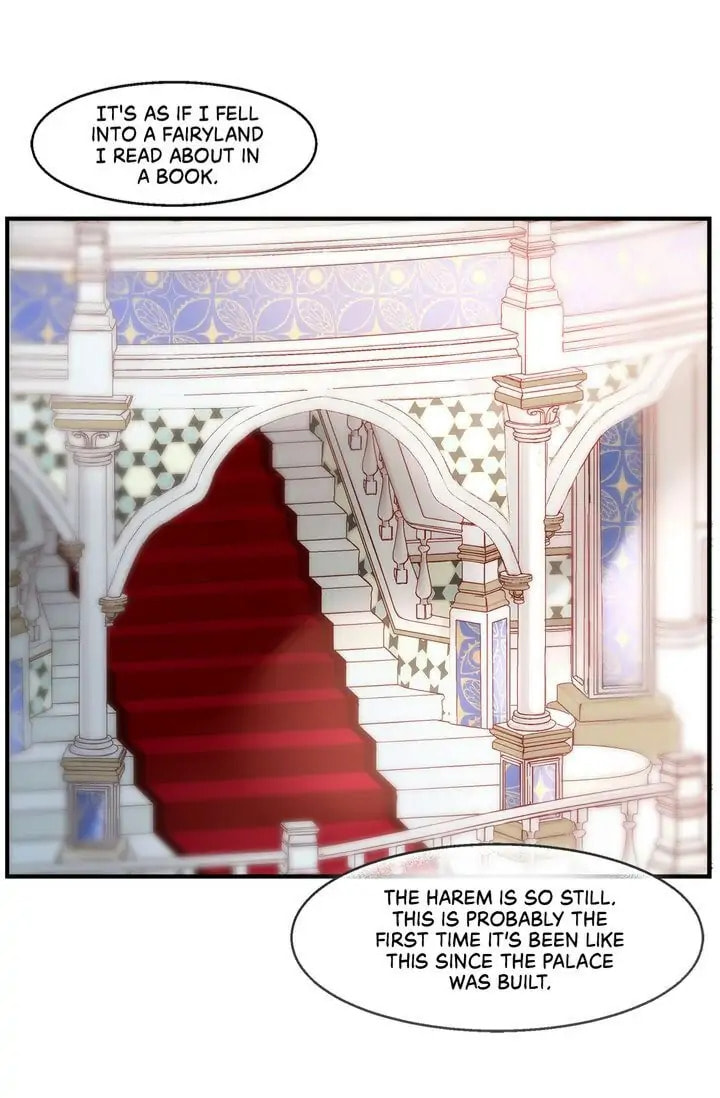 Read The Sultan