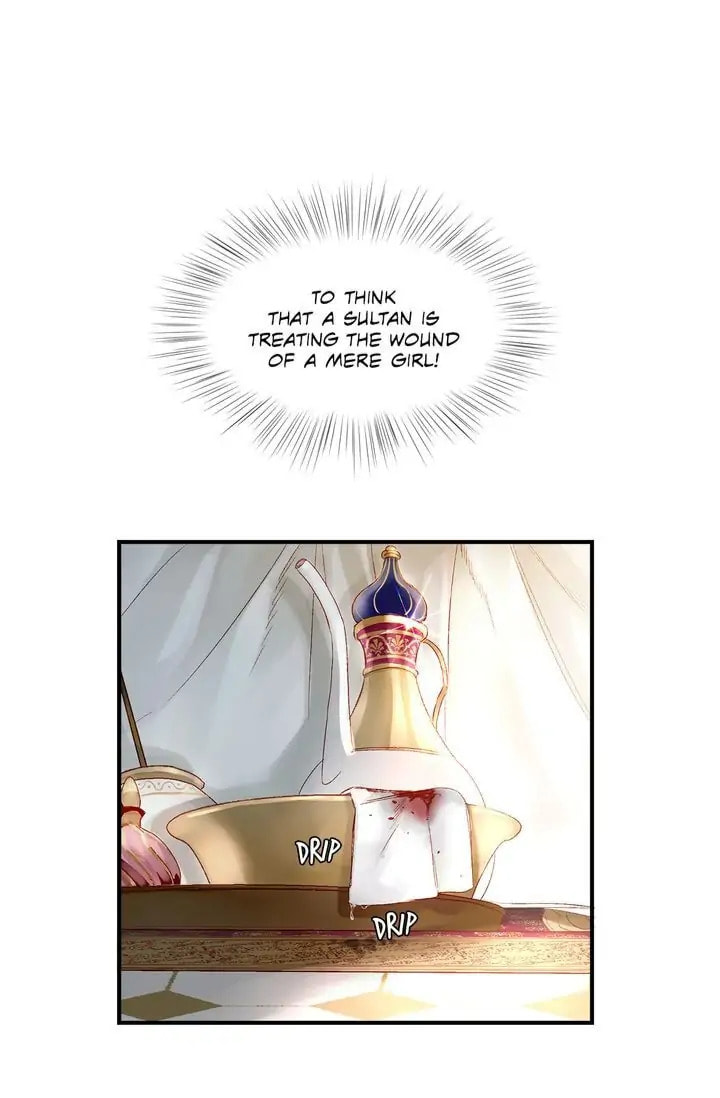 Read The Sultan
