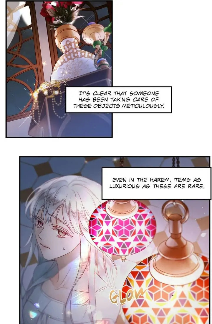 Read The Sultan