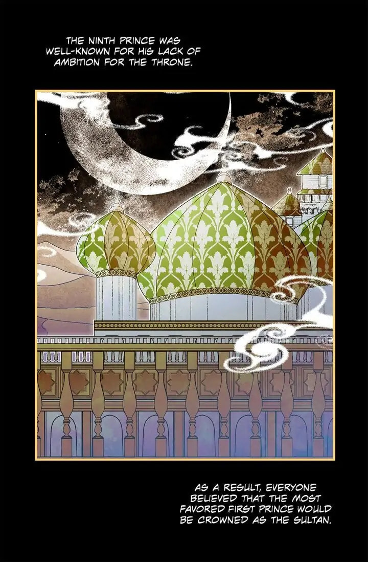 Read The Sultan