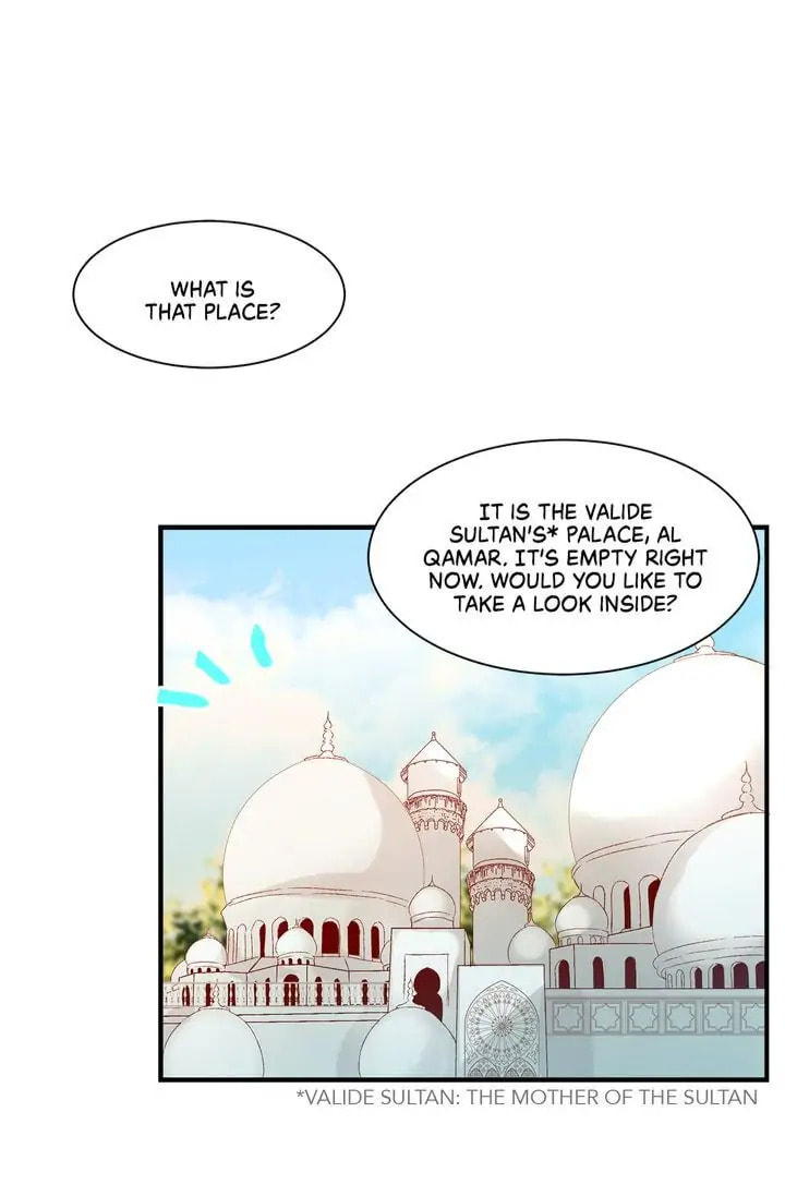 Read The Sultan