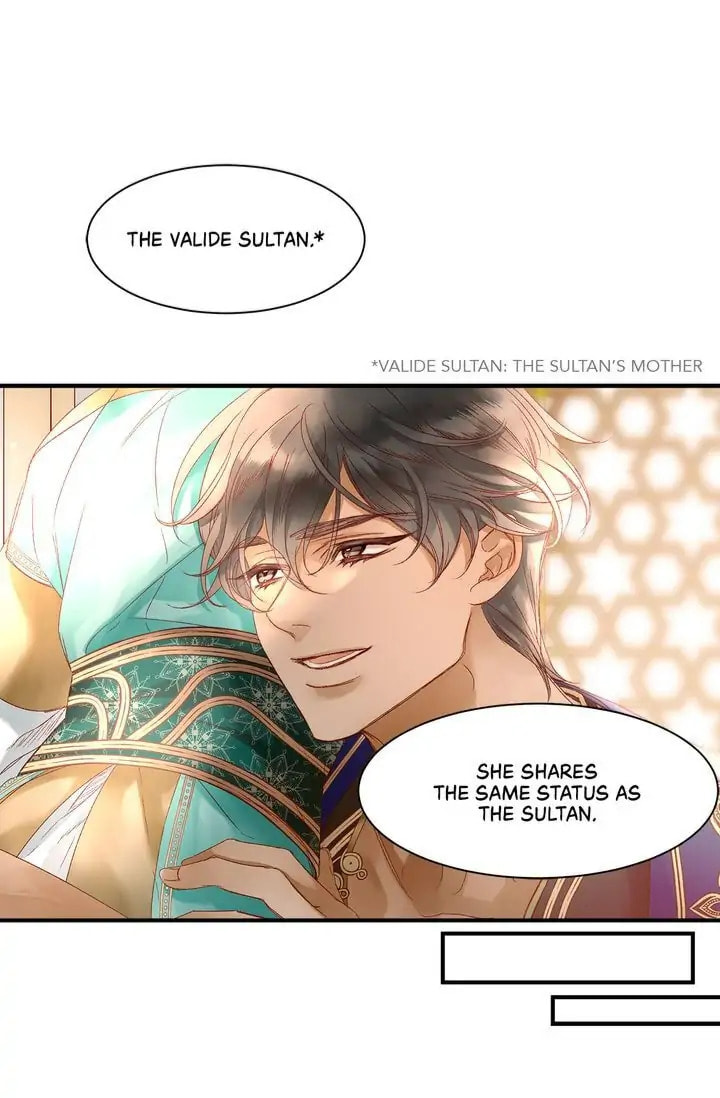 Read The Sultan