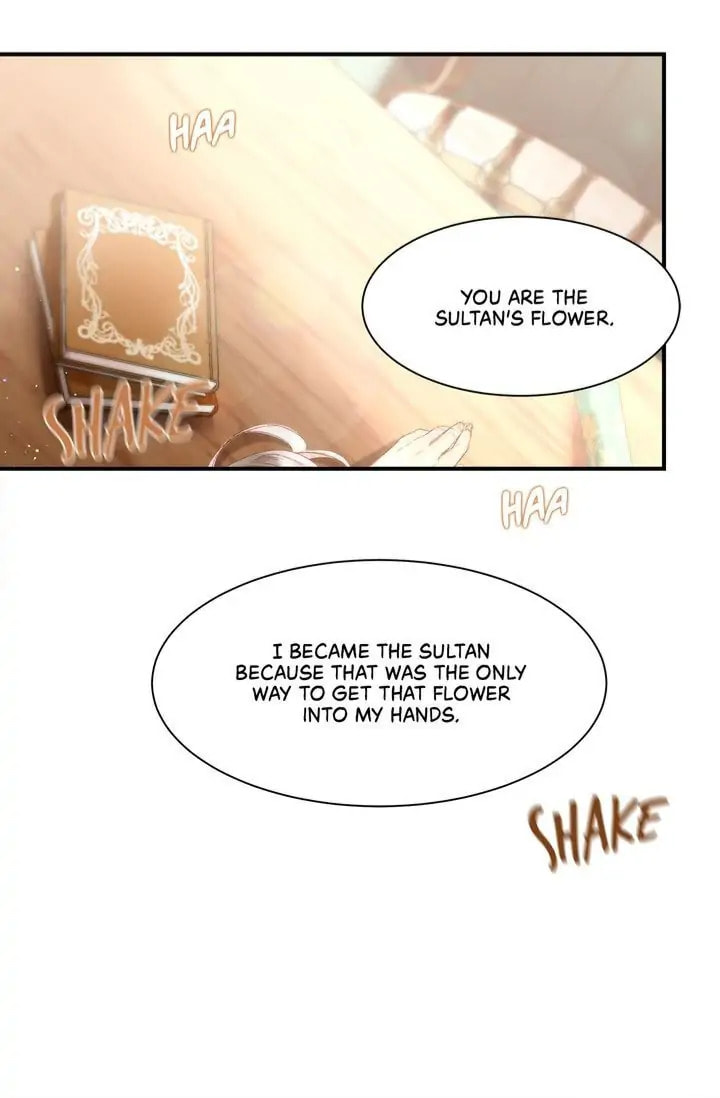 Read The Sultan