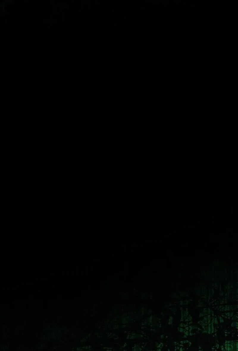 Read The Summer Swallowed by Darkness chapter 65 image 66 on Lezhin