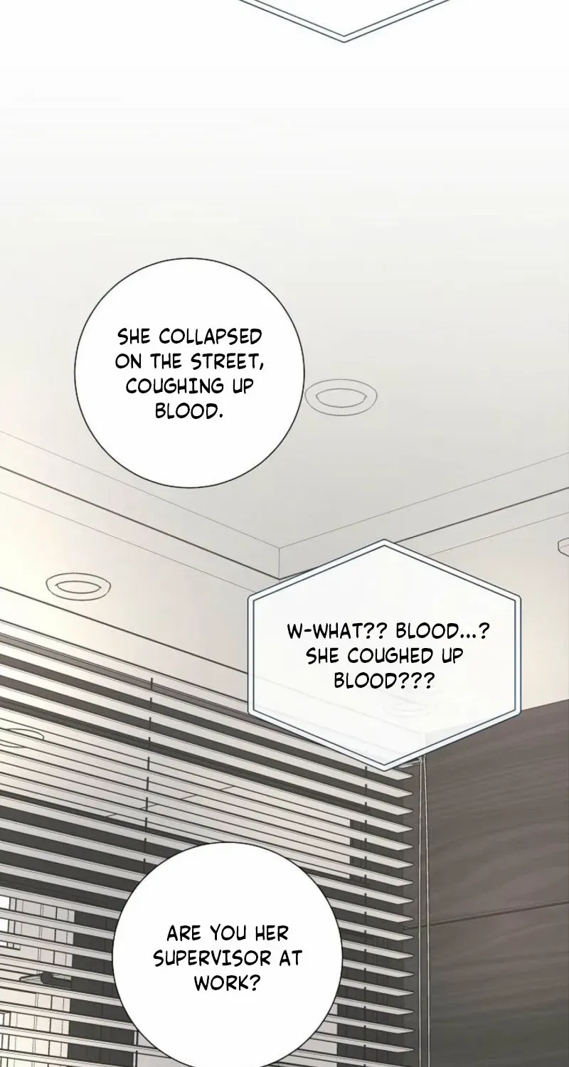 Read The Summer You Came chapter 13 image 66 on Lezhin