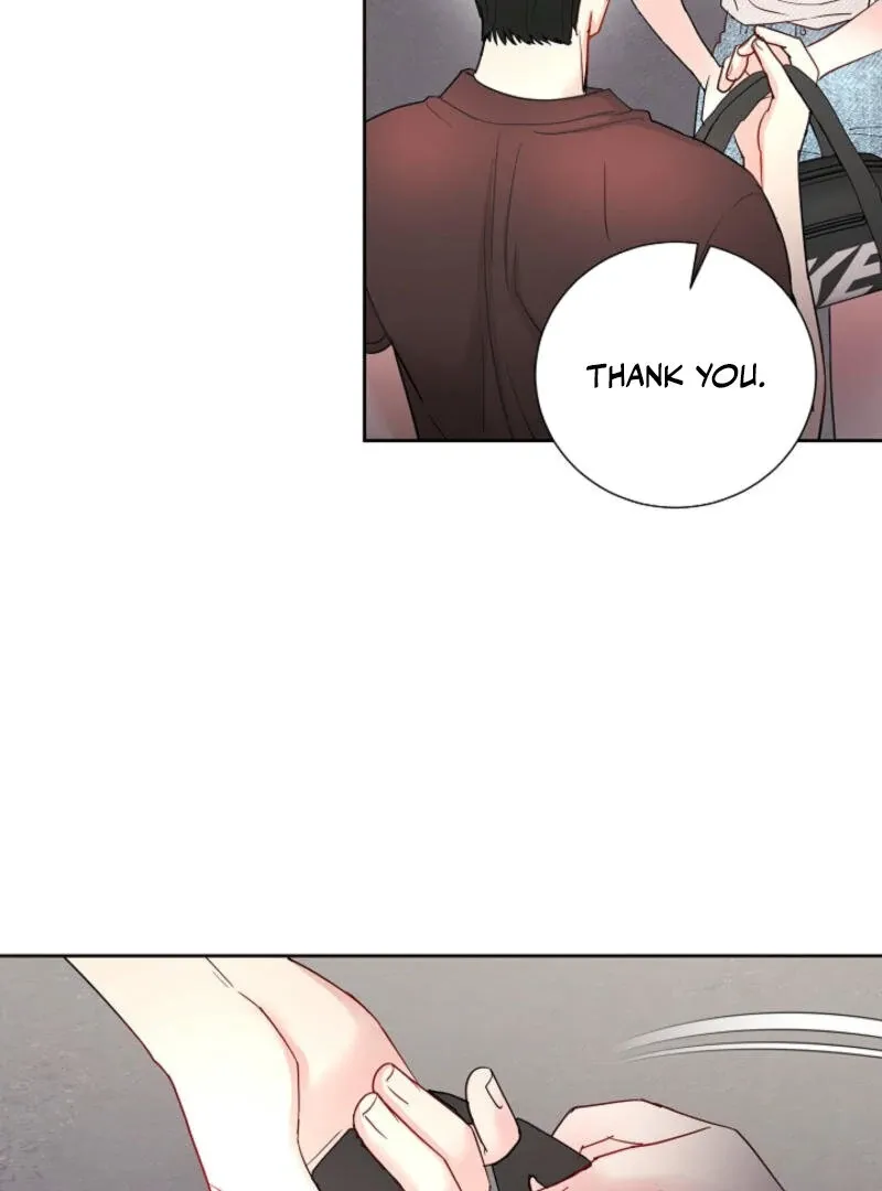Read The Summer You Came chapter 3 image 4 on Lezhin