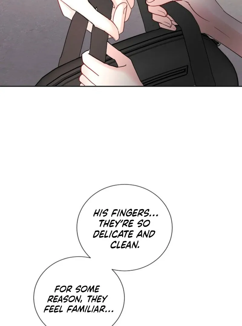 Read The Summer You Came chapter 3 image 5 on Lezhin