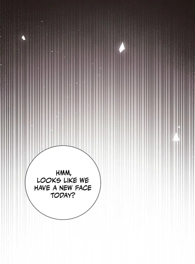 Read The Summer You Came chapter 3 image 79 on Lezhin