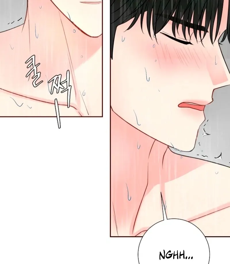 Read The Summer You Came chapter 33 image 78 on Lezhin