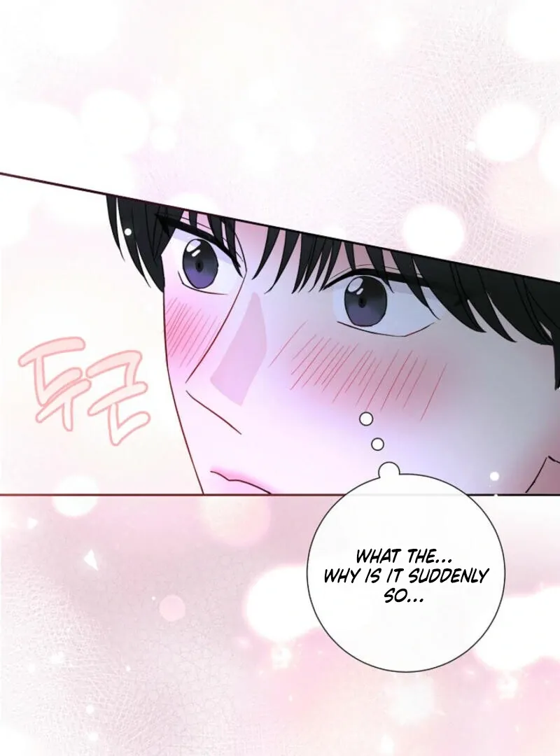 Read The Summer You Came chapter 6 image 92 on Lezhin