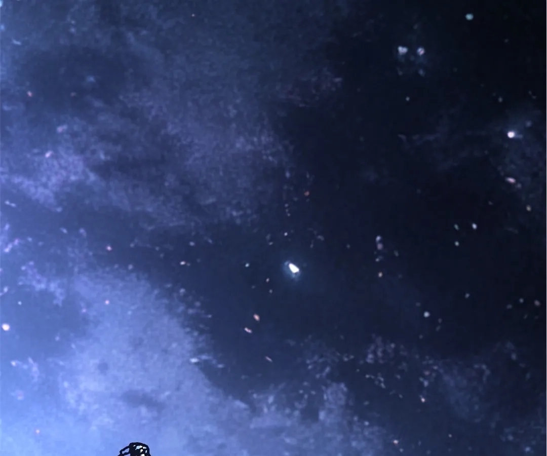 Read The Summoner: Apocalypse Rewinds chapter 99 image 28 on Lezhin