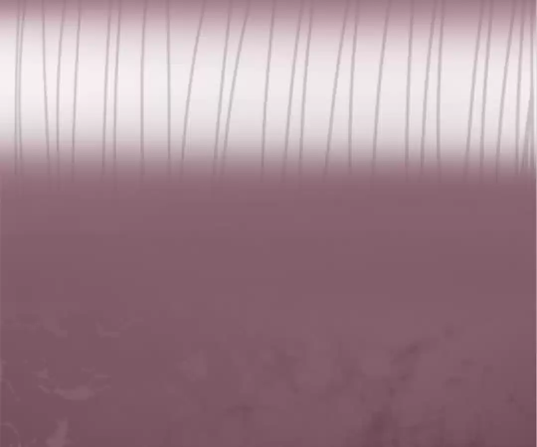 Read The Supreme System chapter 100 image 56 on Lezhin