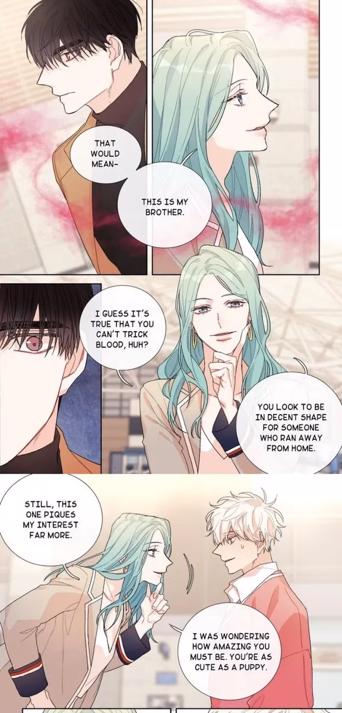 Read The Sweetest Man chapter 114 image 6 on Lezhin