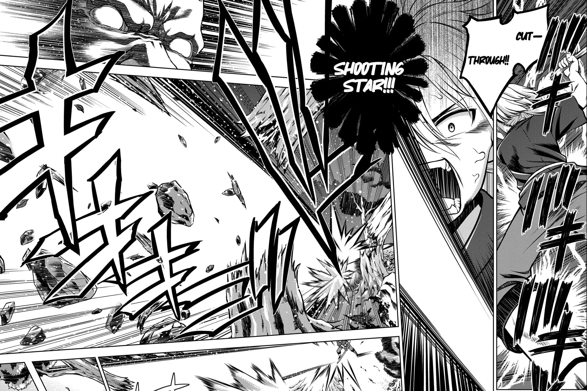 Read The Sword Fighter