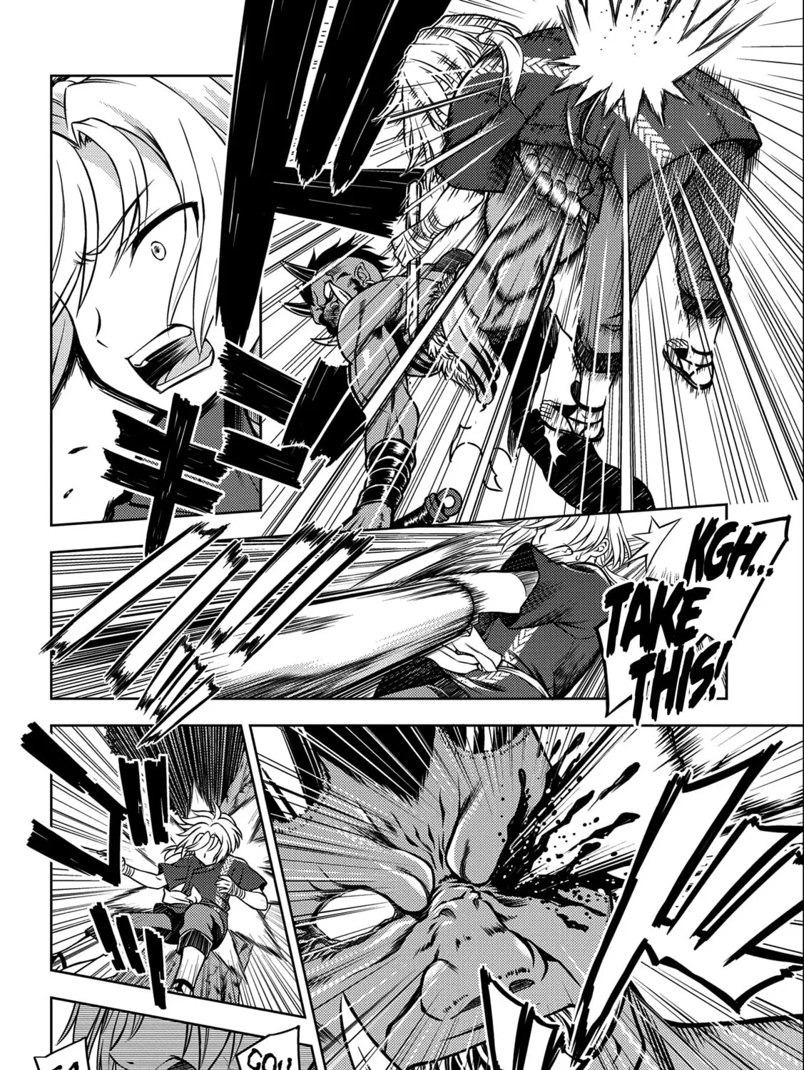 Read The Sword Fighter