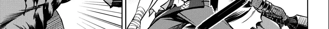 Read The Sword Fighter