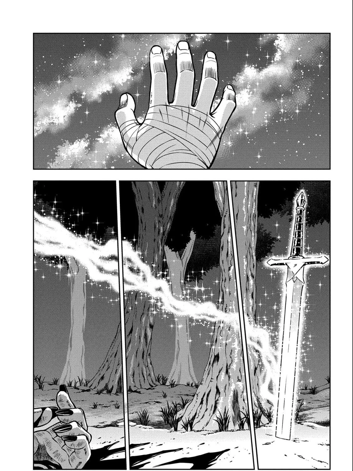 Read The Sword Fighter