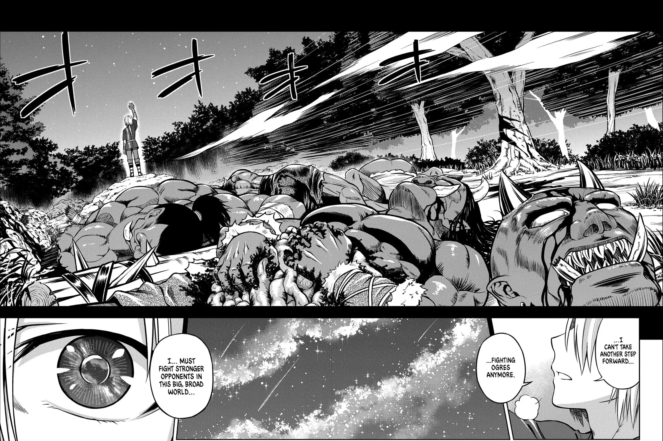 Read The Sword Fighter