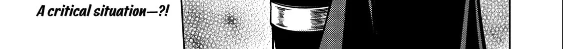 Read The Sword Fighter