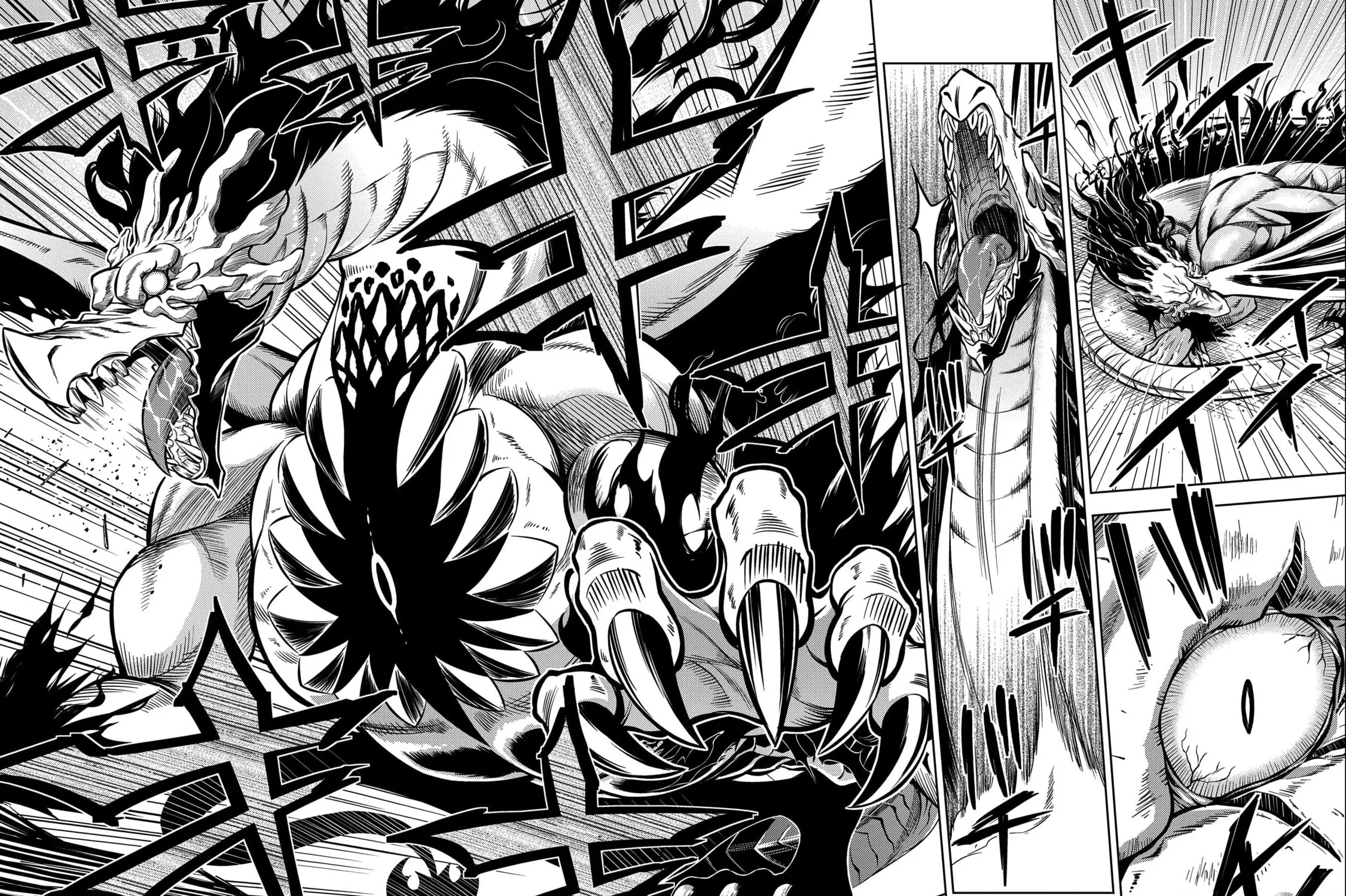 Read The Sword Fighter