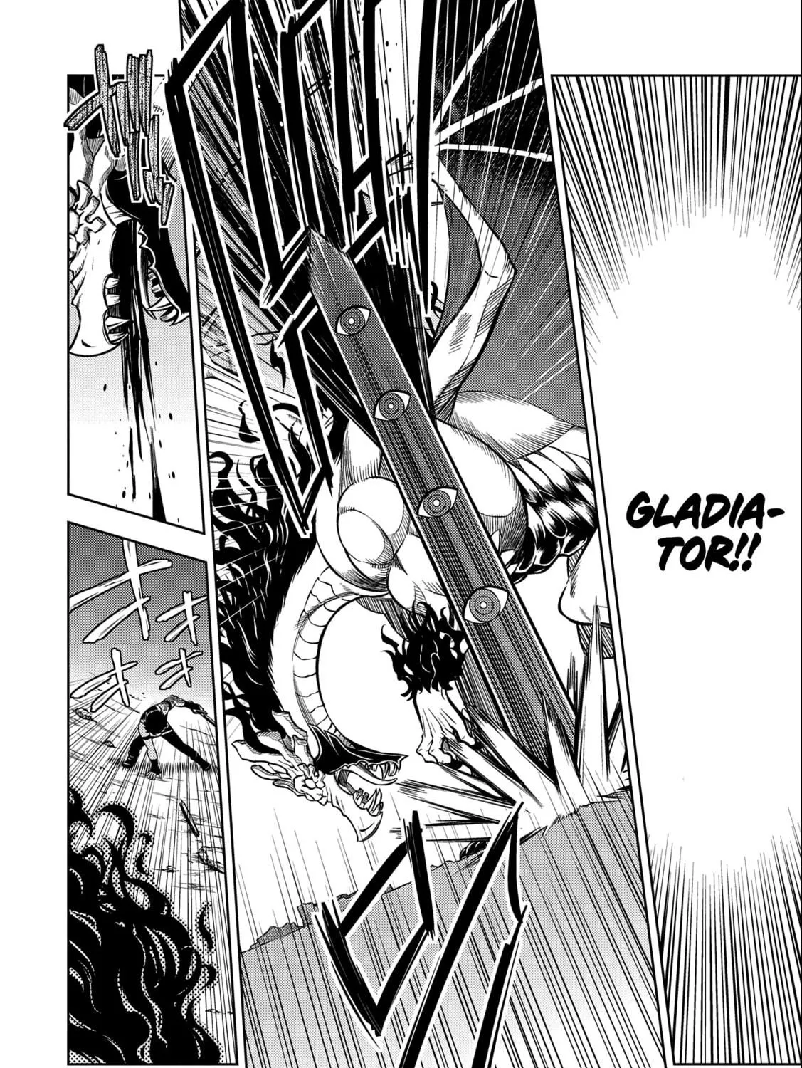 Read The Sword Fighter