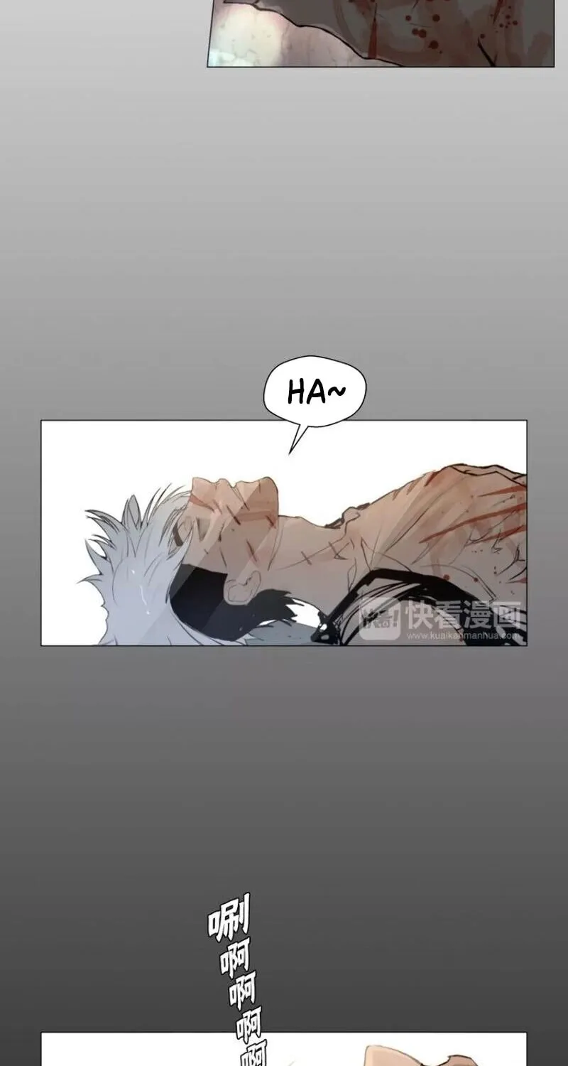 The Sword of Glory Chapter 37 page 41 - 