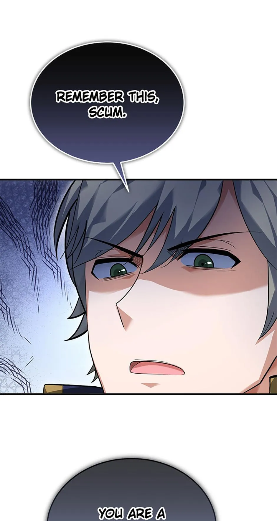 Read The Swordmaster