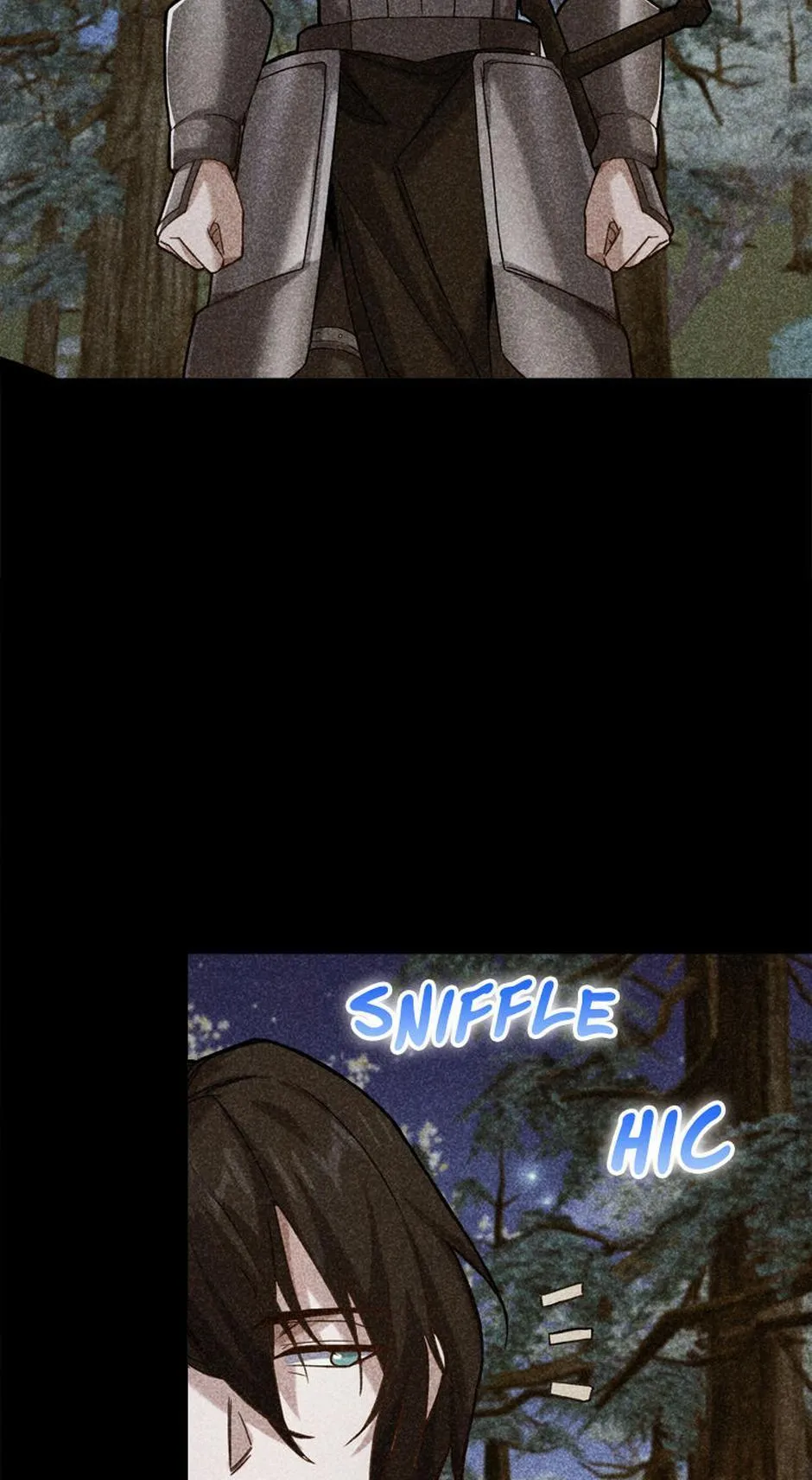 Read The Swordmaster
