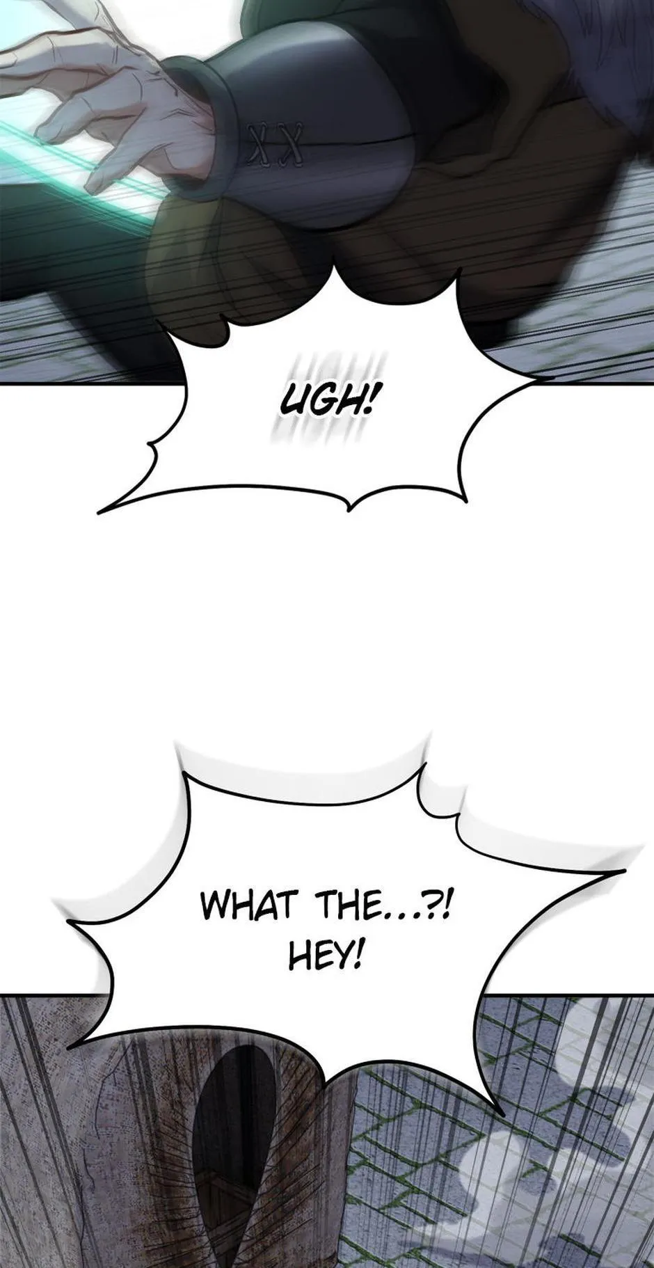 Read The Swordmaster