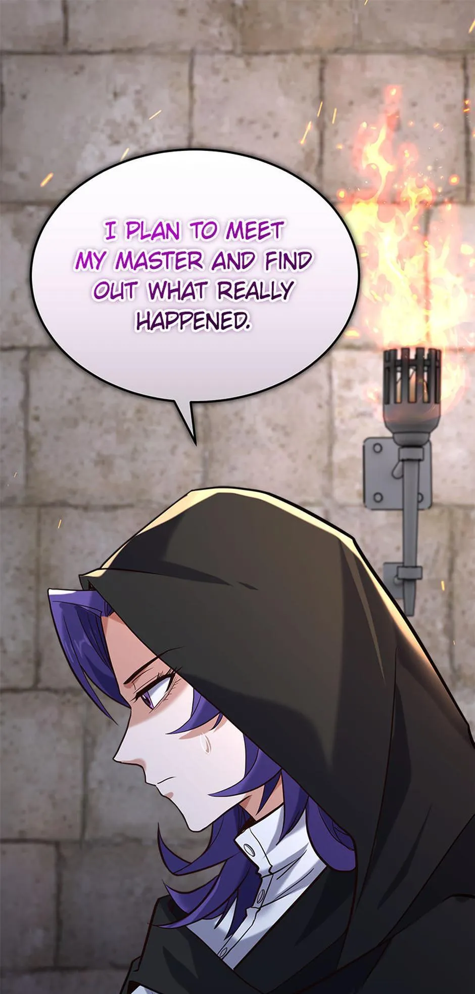 Read The Swordmaster