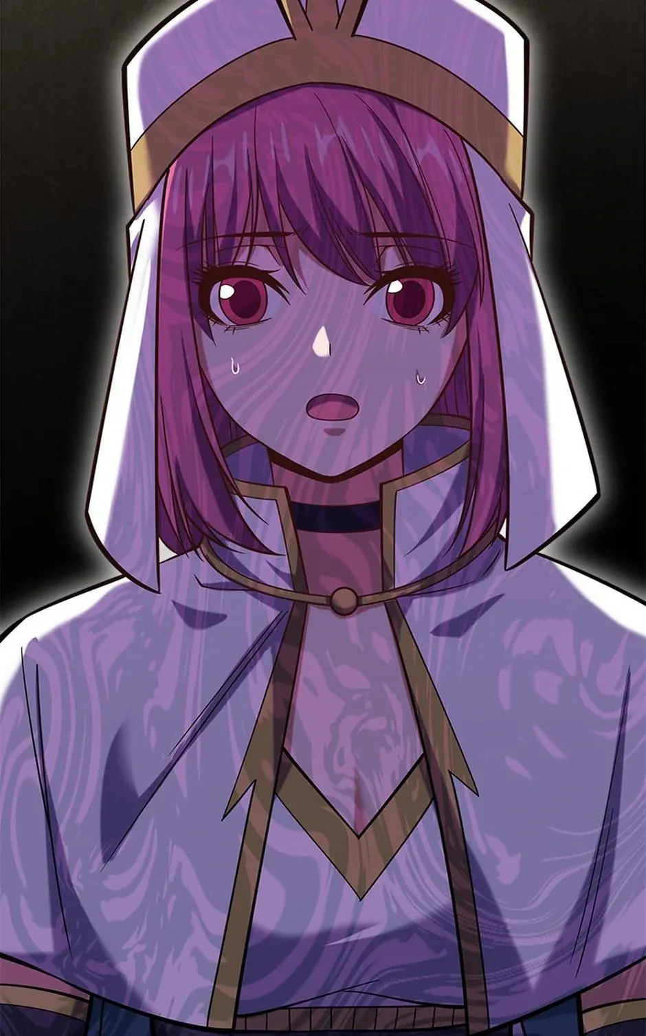 Read The Swordmaster