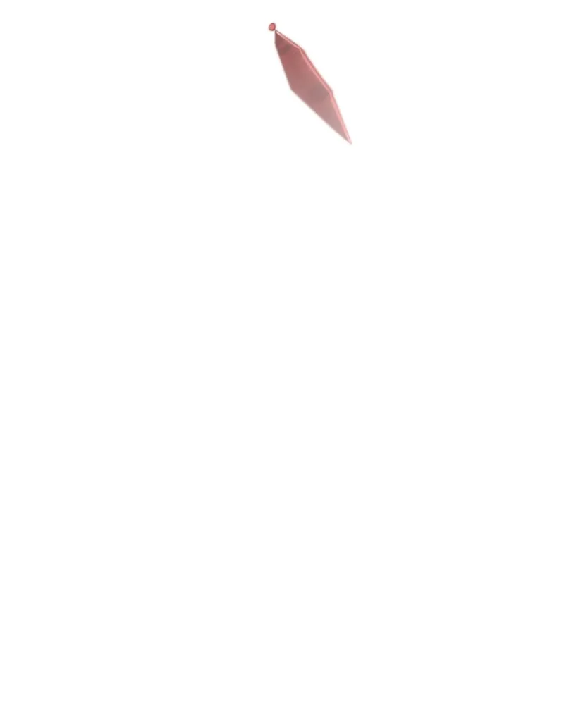 Read The Swordmaster