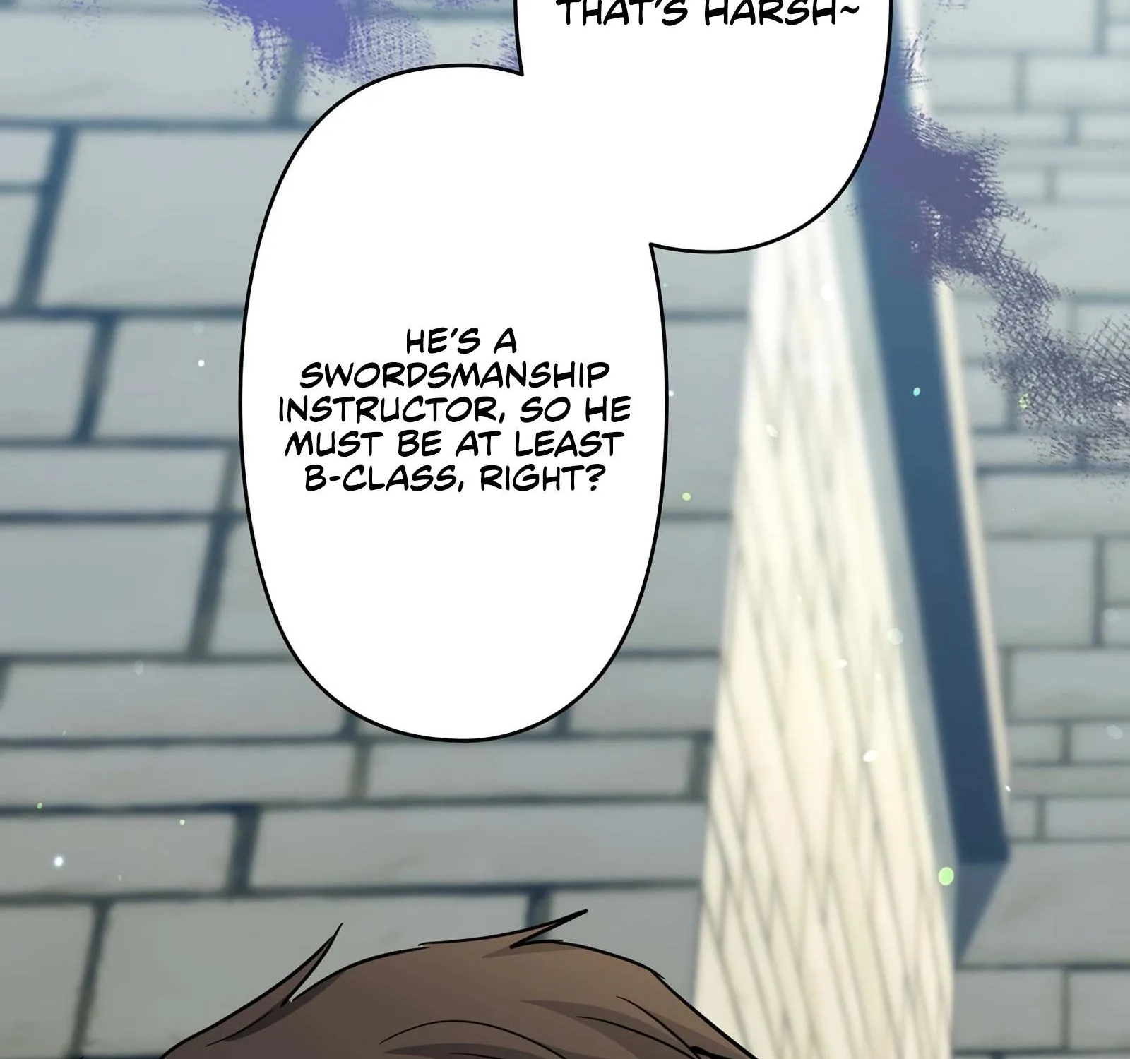 The Swordsmanship Instructor at the Academy Chapter 2 page 248 - 