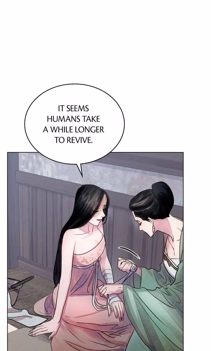 Read The Tainted Half chapter 4 image 17 on Lezhin