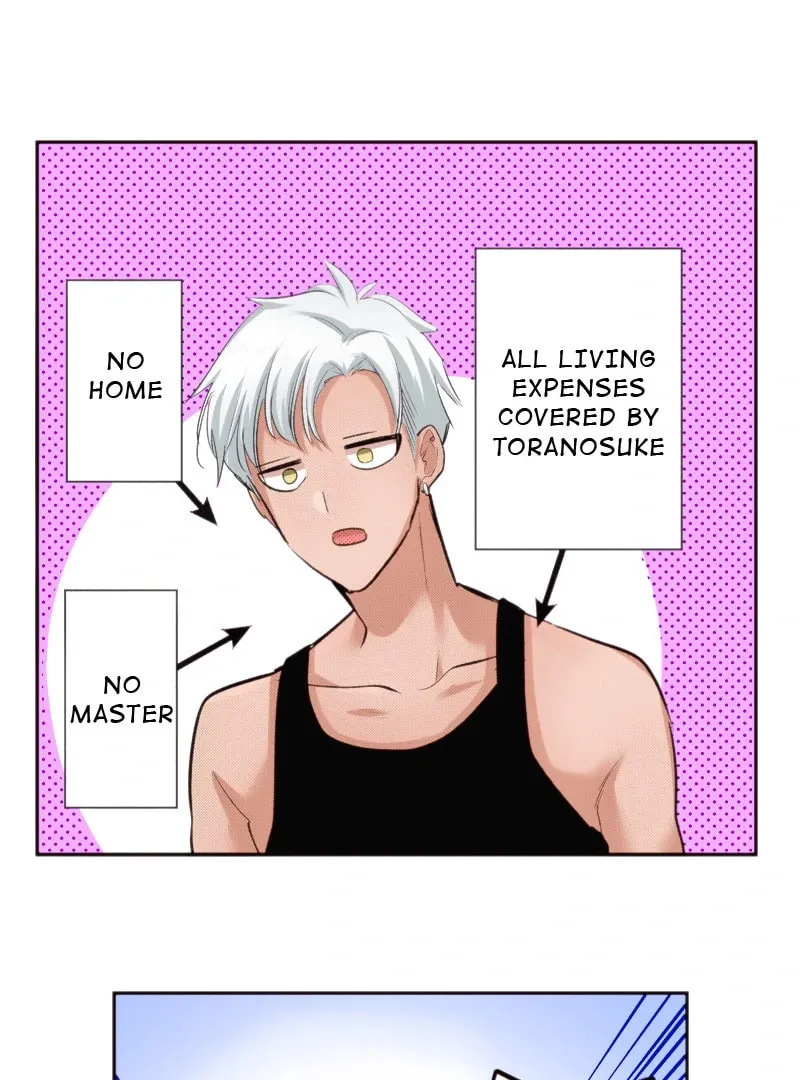 The Tale of a High School Ninja: Let's Kick Ass! (Webtoon) Chapter 113 page 17 - 