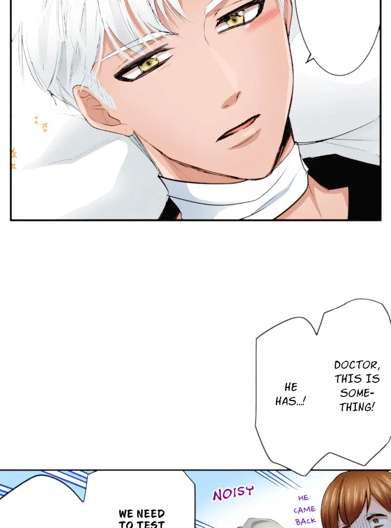 The Tale of a High School Ninja: Let's Kick Ass! (Webtoon) Chapter 130 page 34 - 