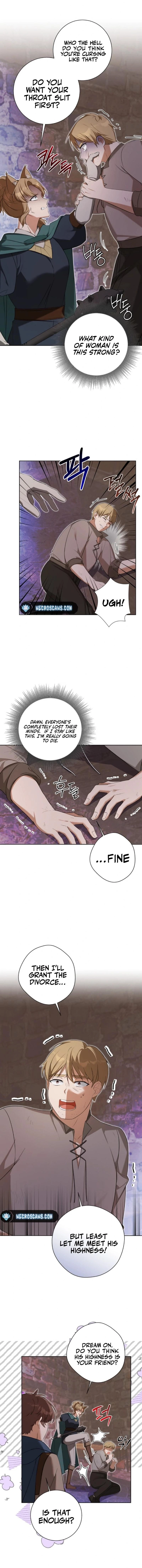 The Taming of the Hellcat Chapter 33 page 3 - 