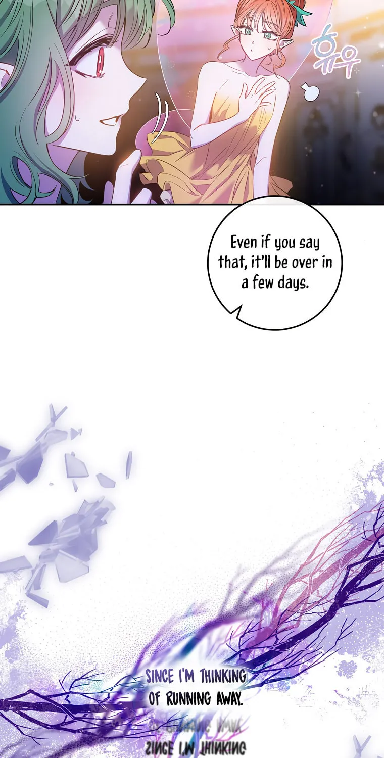 The Taming of the Tyrant Chapter 80 page 11 - 