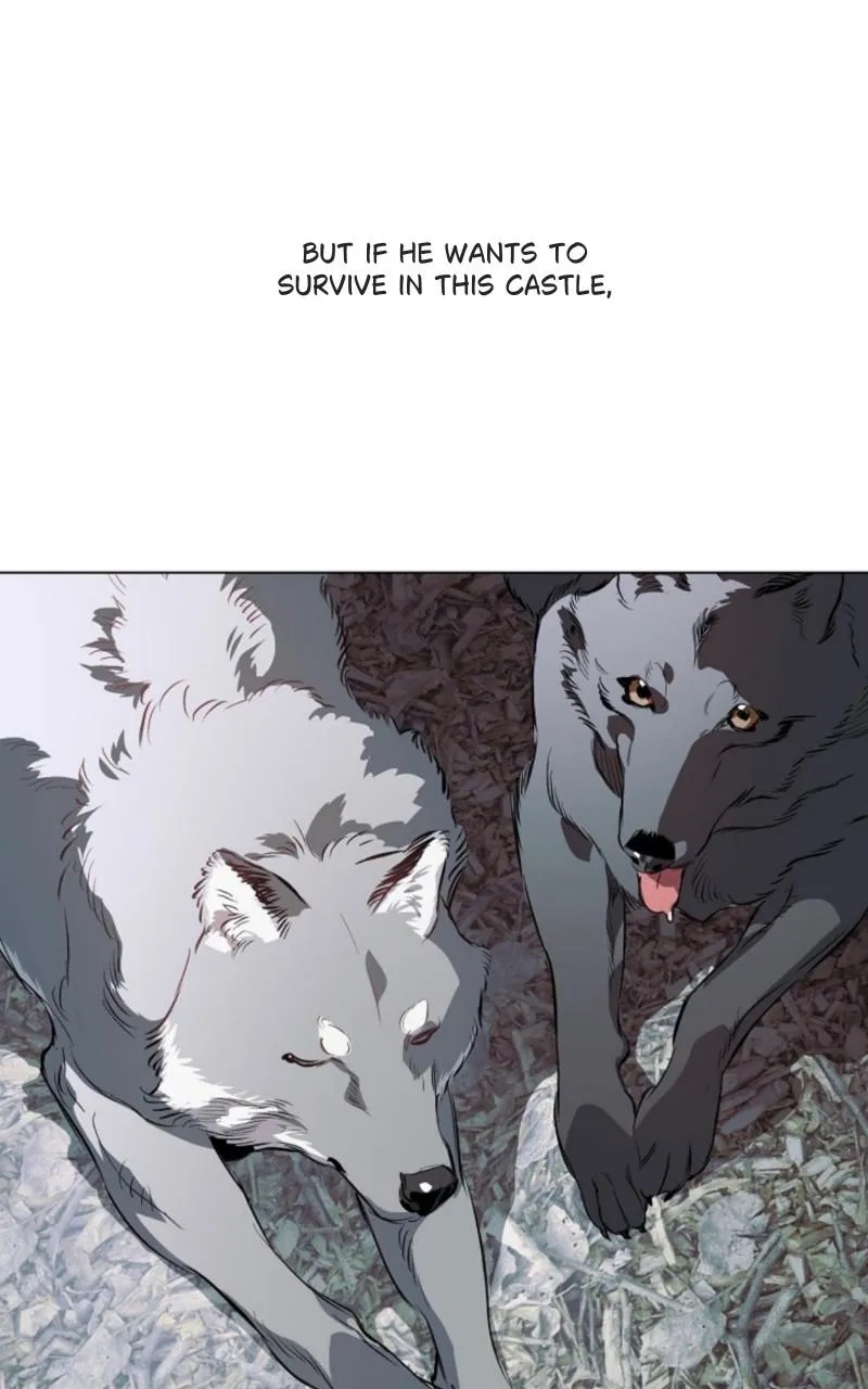 The Taming Chapter 35 page 31 - 