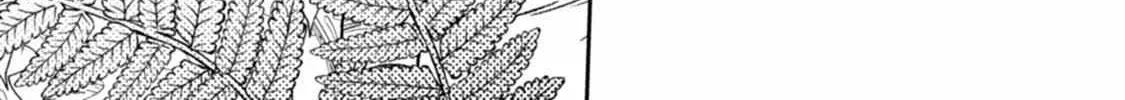Read The Teijo Academy chapter 13 image 3 on Lezhin