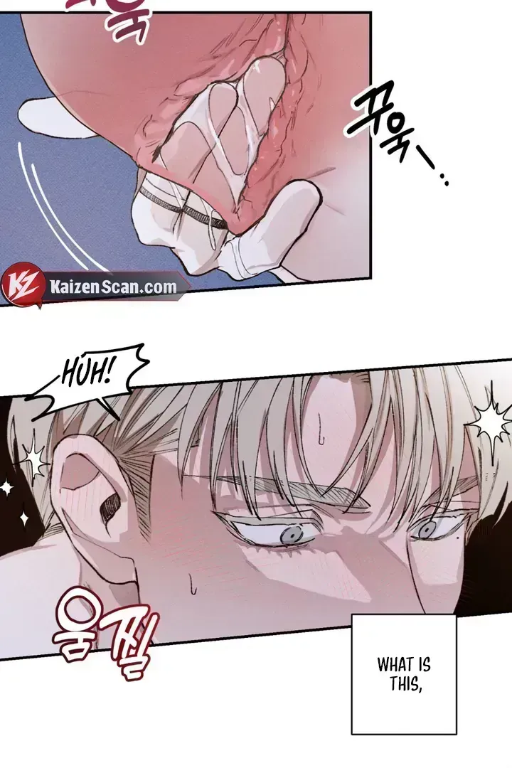 Read The Third Decade chapter 5.1 image 45 on Lezhin