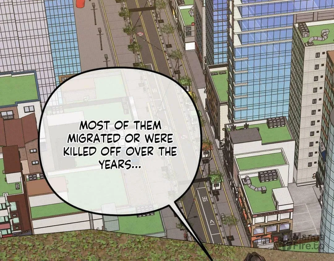 The Tiger Is Descending Chapter 27 page 45 - 