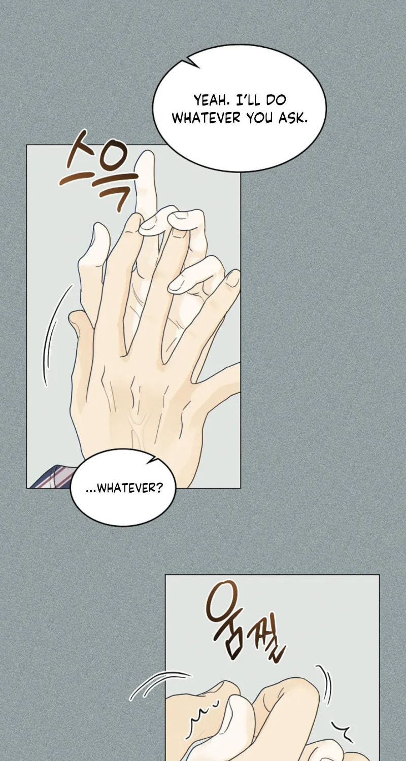 Read The tiger next door chapter 12 image 5 on Lezhin
