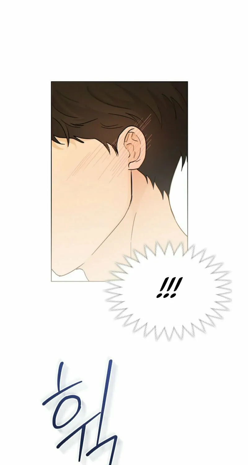 Read The tiger next door chapter 2 image 9 on Lezhin