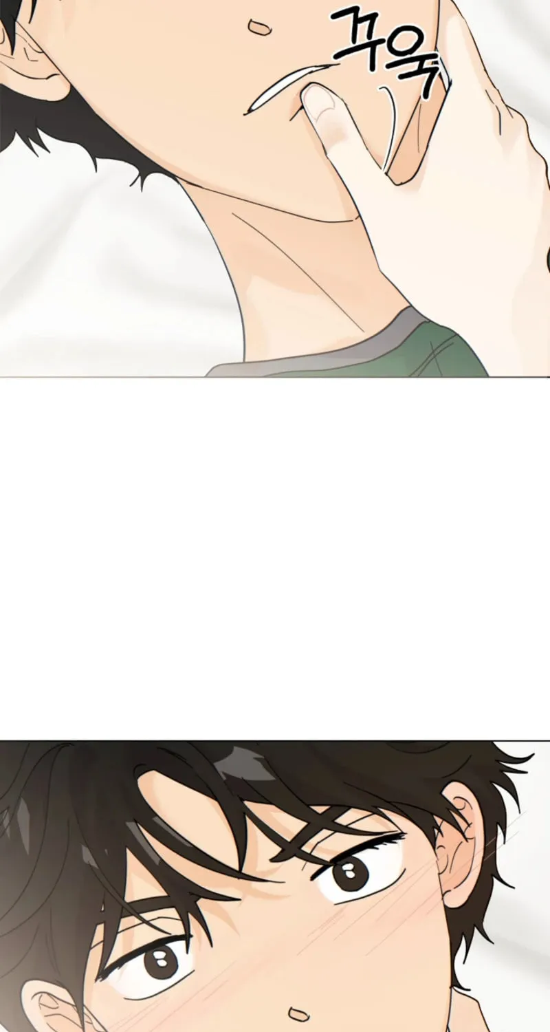 Read The tiger next door chapter 5 image 42 on Lezhin
