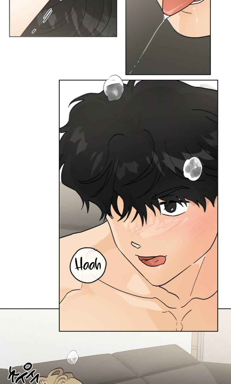 The tiger next door Chapter 66 page 3 - 